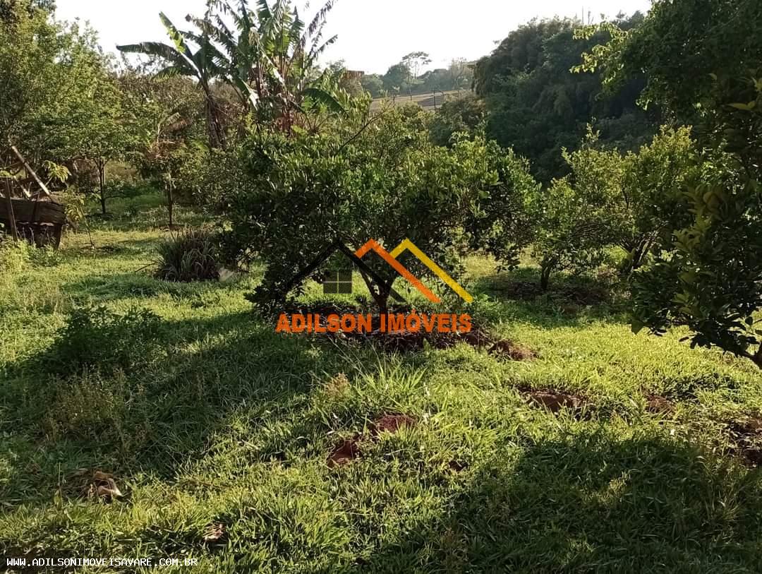 Chácara, 4 quartos, 4 hectares - Foto 13