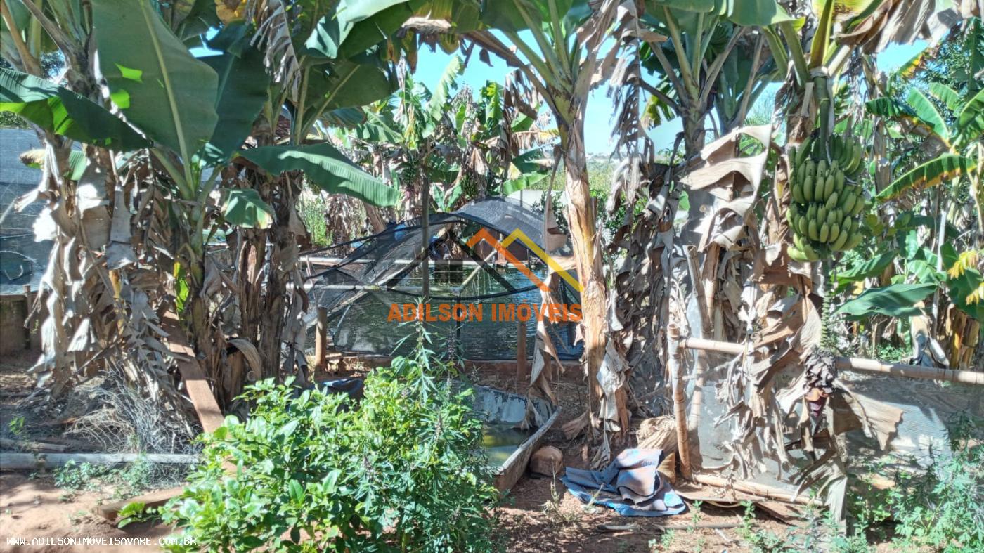 Chácara, 3 quartos, 1500 m² - Foto 11