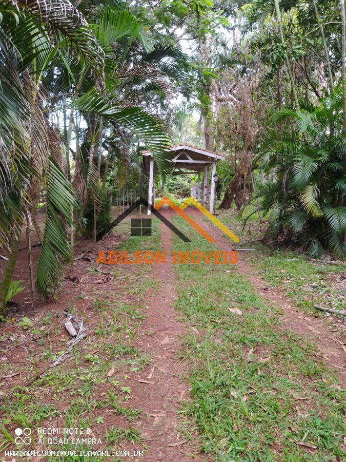 Sítio, 3 quartos, 2800 m² - Foto 4