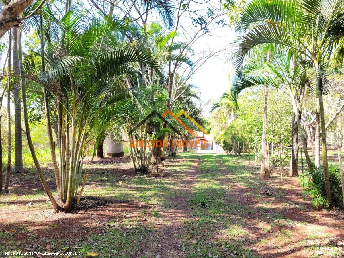 Sítio, 3 quartos, 2800 m² - Foto 10