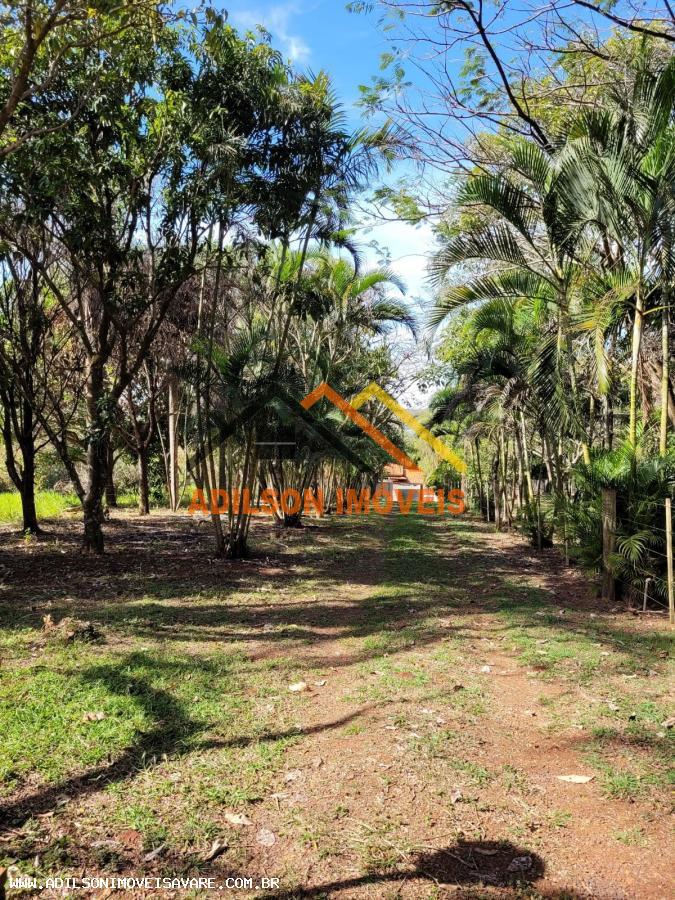 Sítio, 3 quartos, 2800 m² - Foto 1