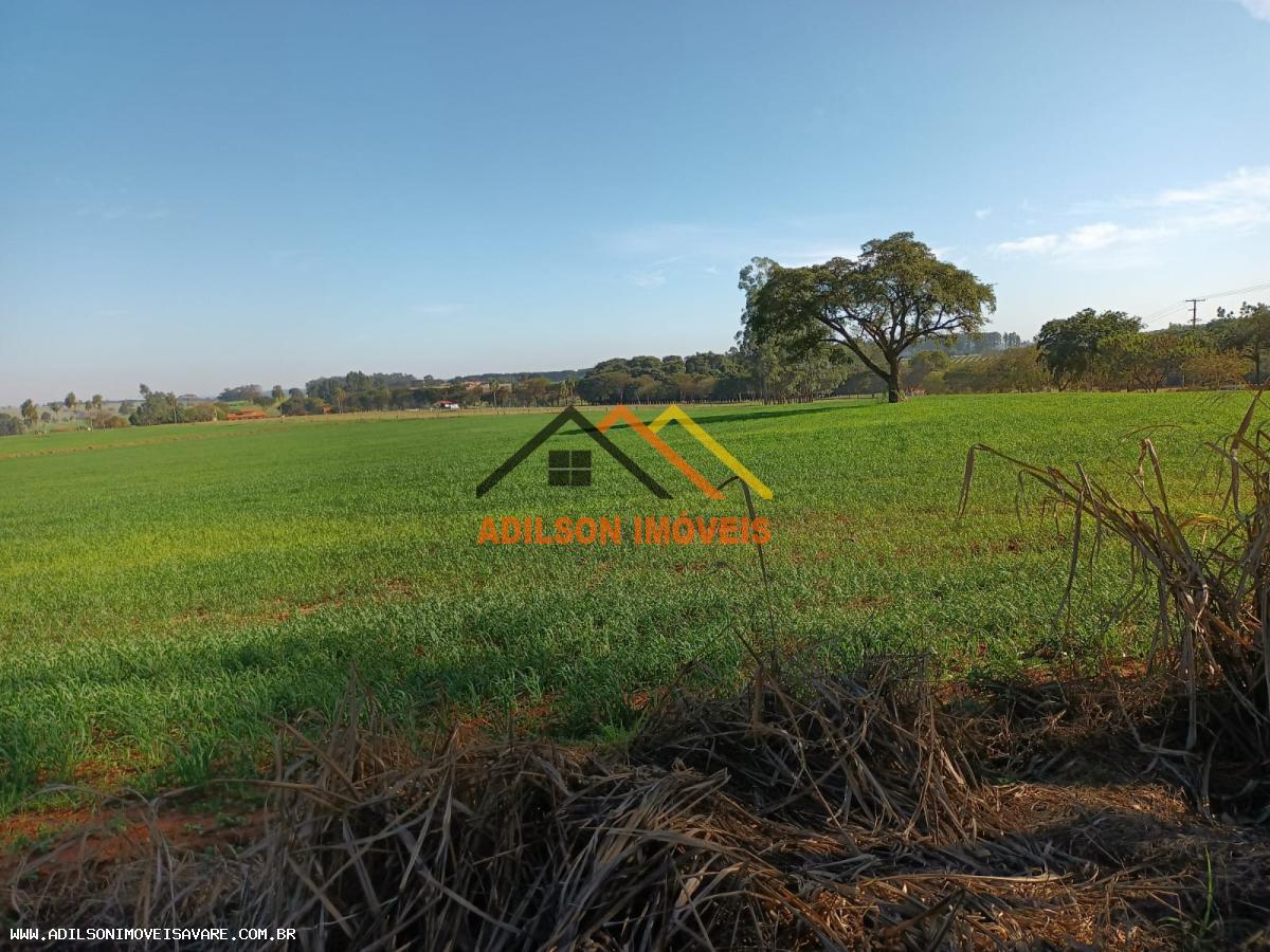 Fazenda, 97 hectares - Foto 2