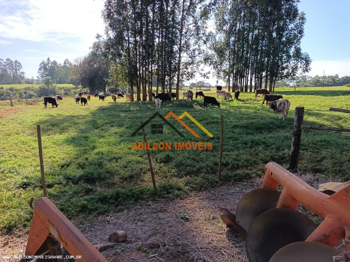 Fazenda, 97 hectares - Foto 3