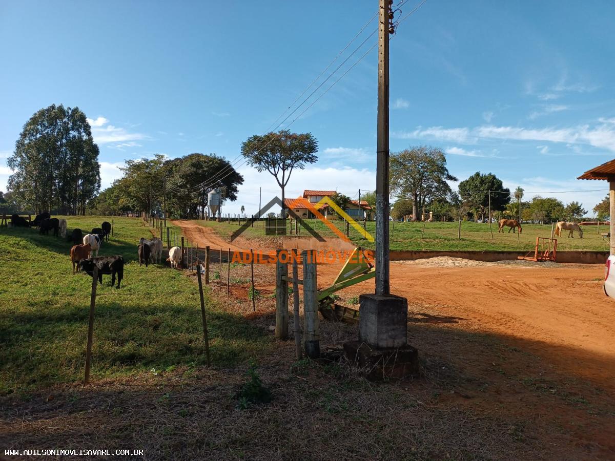 Fazenda, 97 hectares - Foto 5