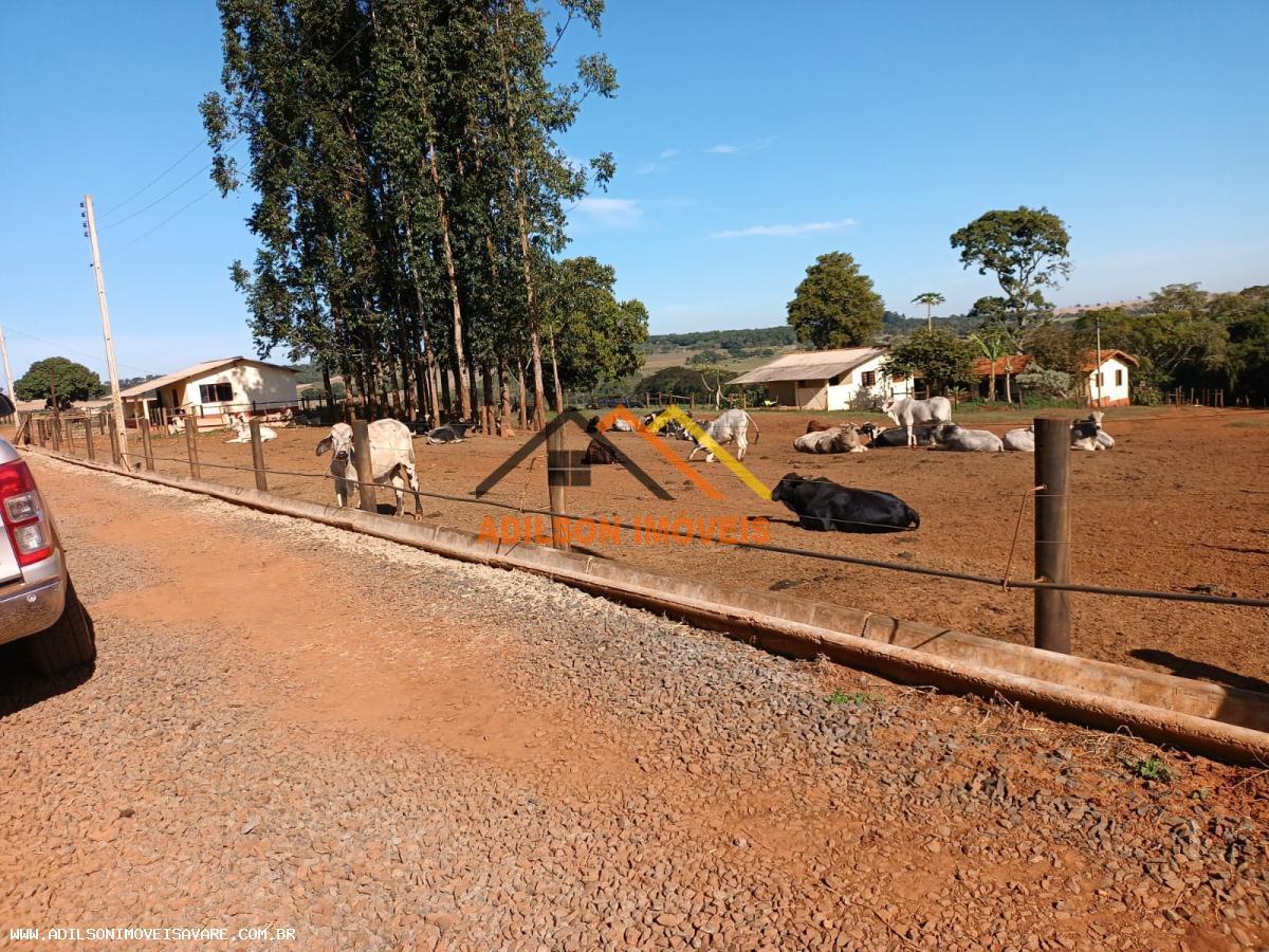 Fazenda, 97 hectares - Foto 9
