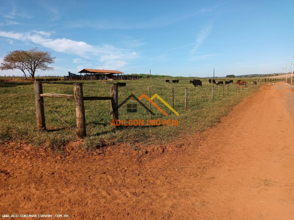 Fazenda, 97 hectares - Foto 7