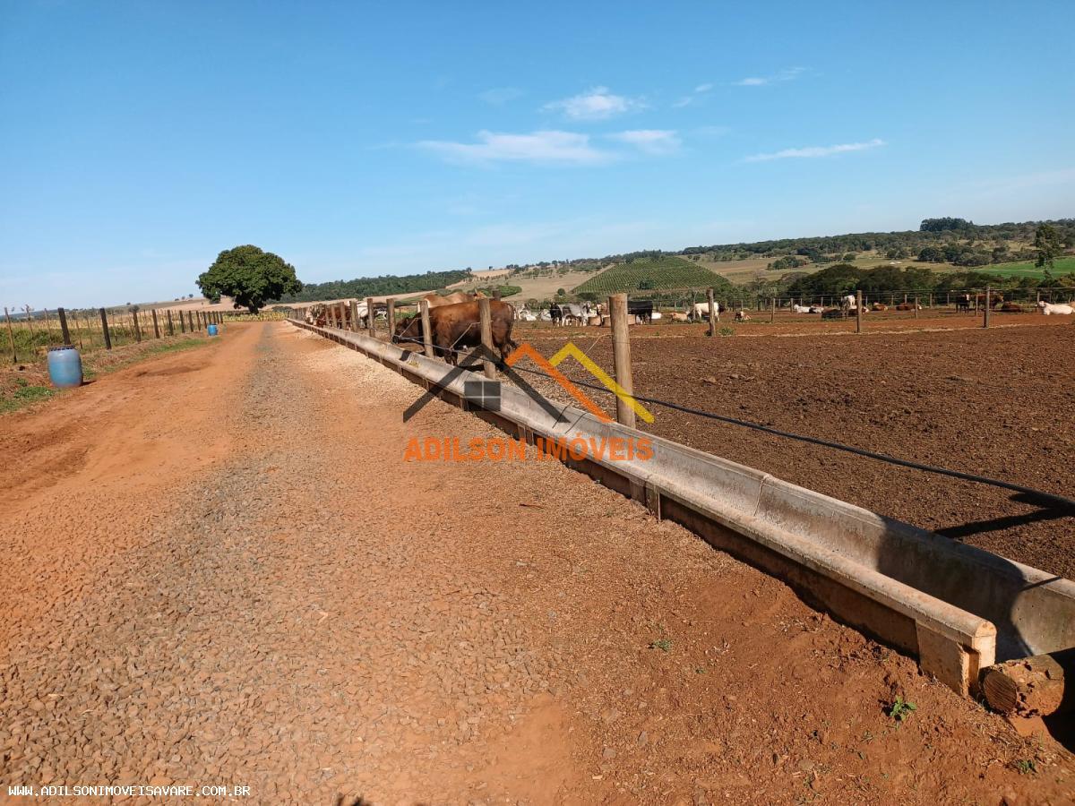 Fazenda, 97 hectares - Foto 8