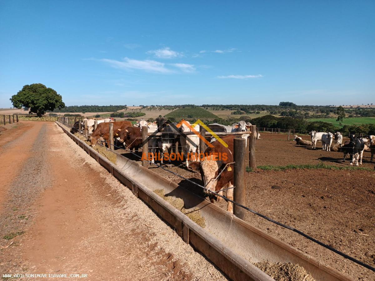 Fazenda, 97 hectares - Foto 11