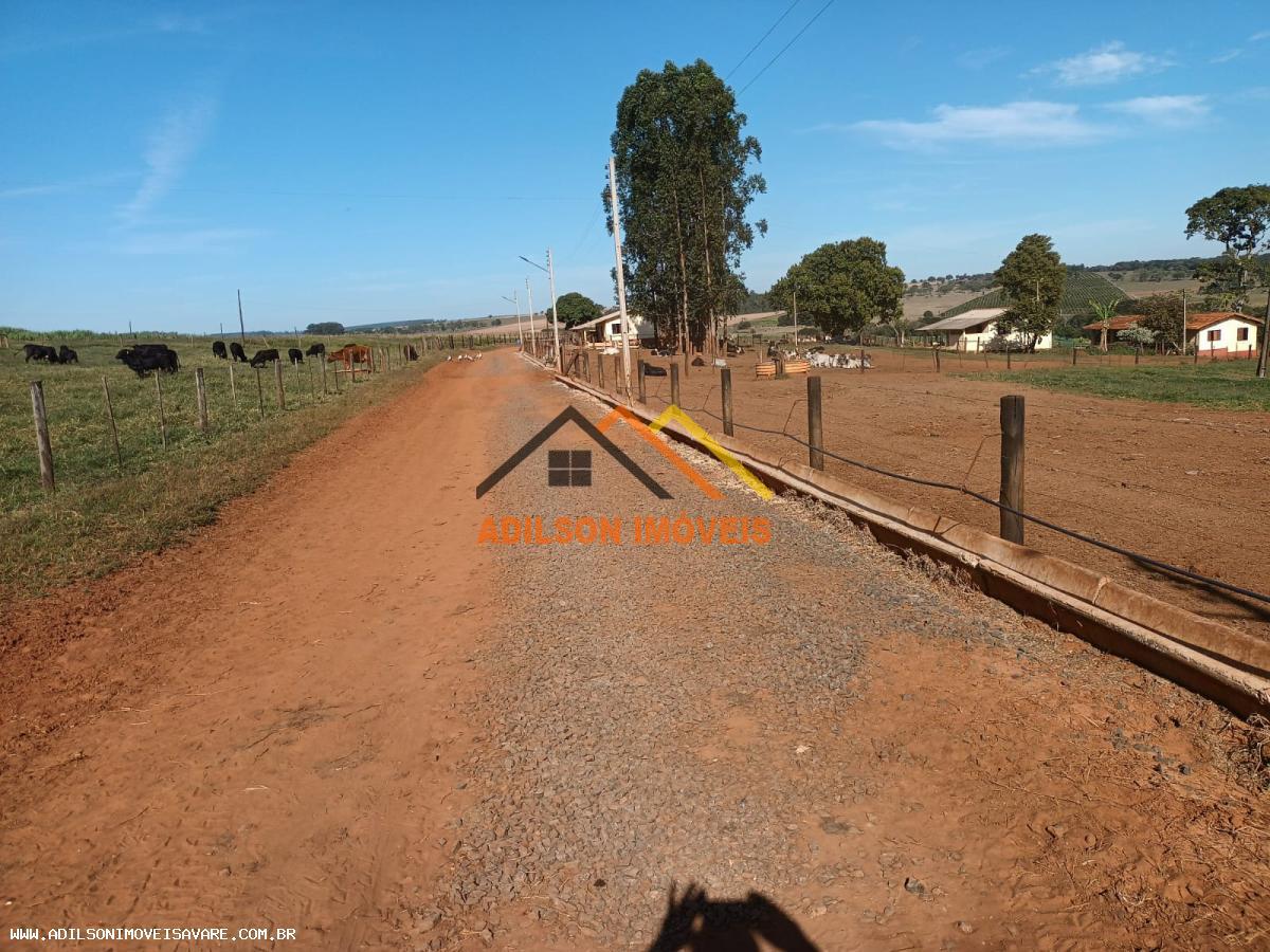 Fazenda, 97 hectares - Foto 10