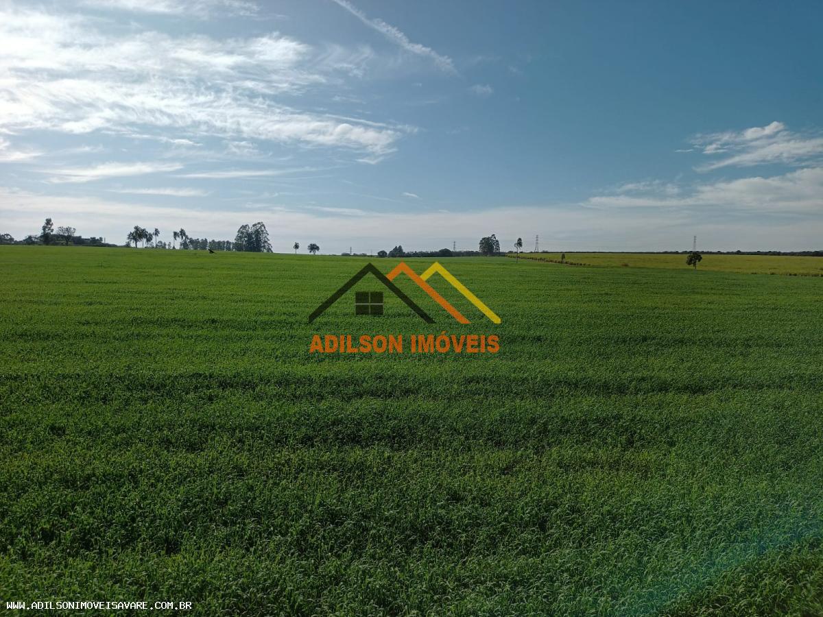 Fazenda, 97 hectares - Foto 14