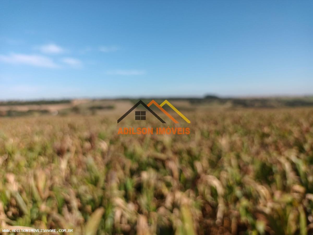 Fazenda, 97 hectares - Foto 12