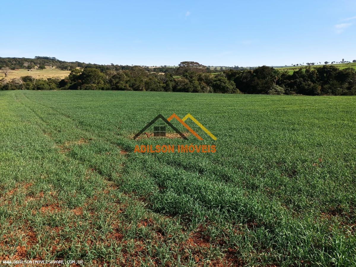 Fazenda, 97 hectares - Foto 15