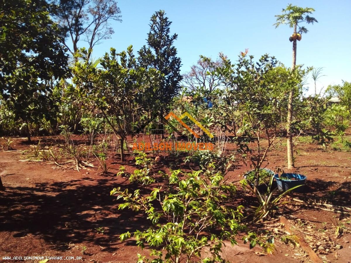 Chácara, 2 quartos, 1540 m² - Foto 16