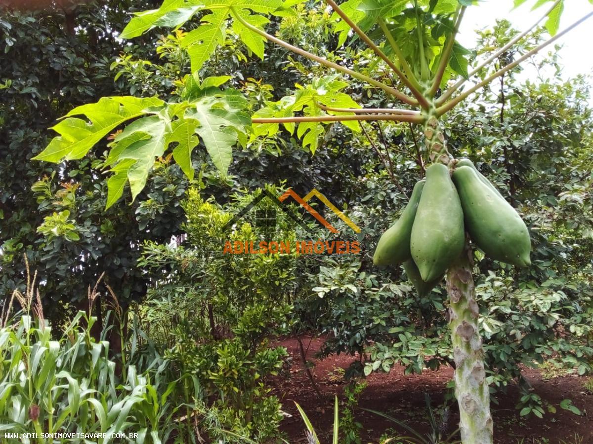 Chácara, 2 quartos, 1540 m² - Foto 18