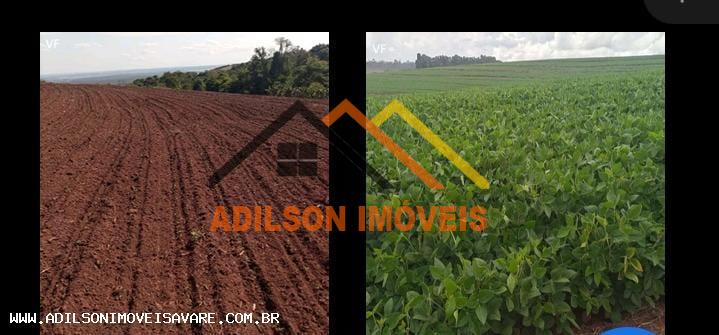 Sítio, 24 hectares - Foto 2