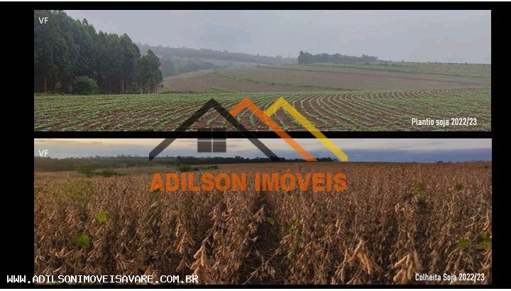 Sítio, 24 hectares - Foto 1