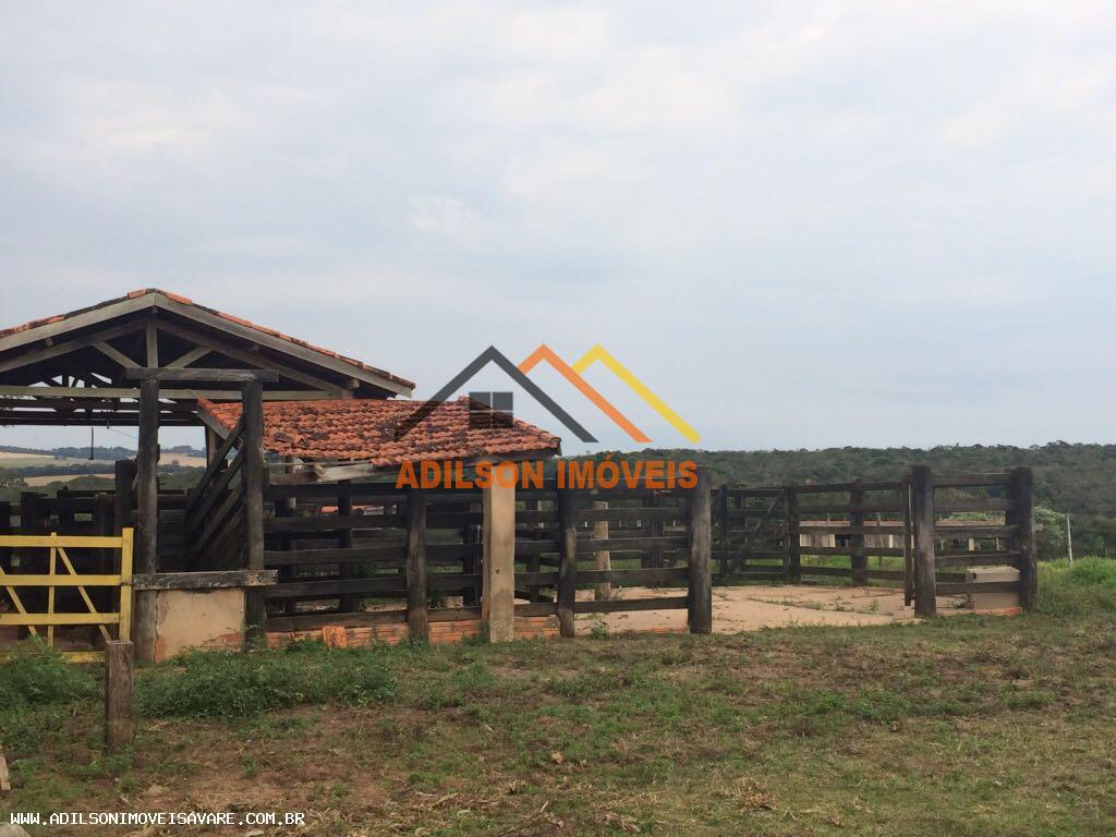 Sítio, 10 hectares - Foto 2