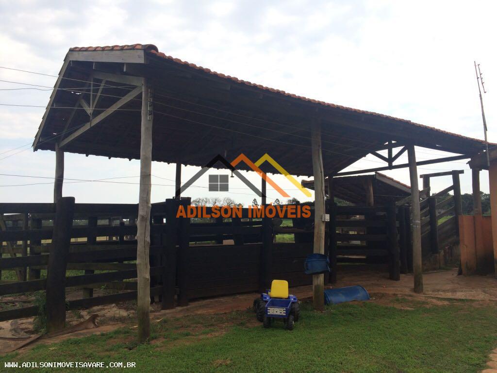 Sítio, 10 hectares - Foto 11