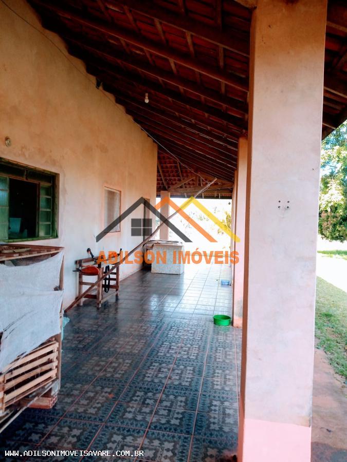 Chácara, 3 hectares - Foto 3