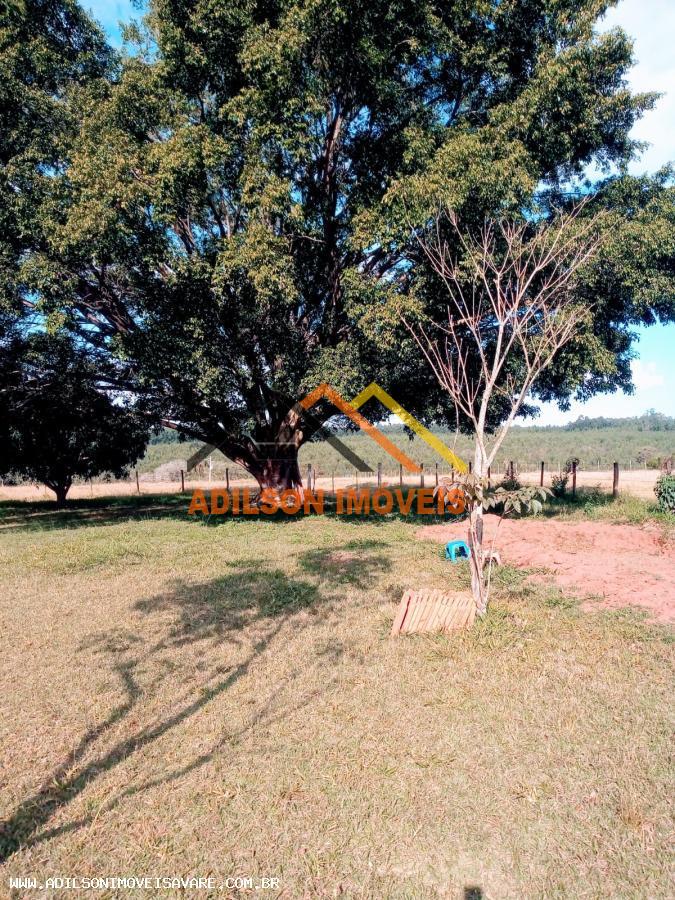Chácara, 3 hectares - Foto 9