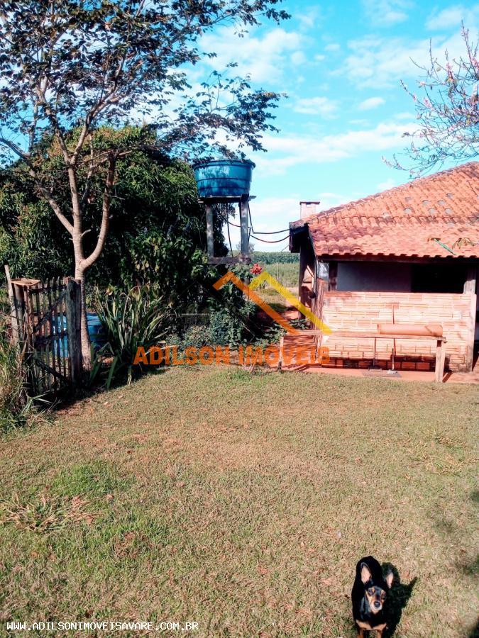 Chácara, 3 hectares - Foto 6