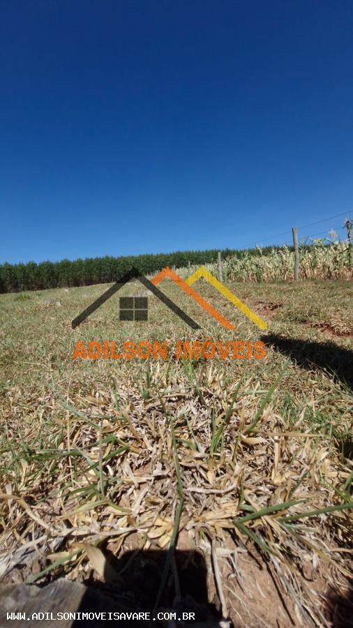 Sítio, 7 hectares - Foto 4