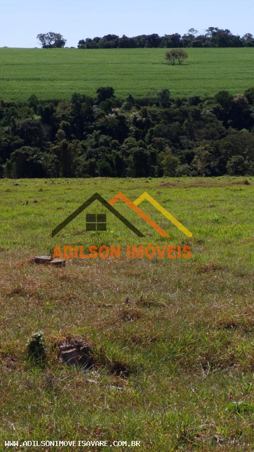 Sítio, 7 hectares - Foto 3