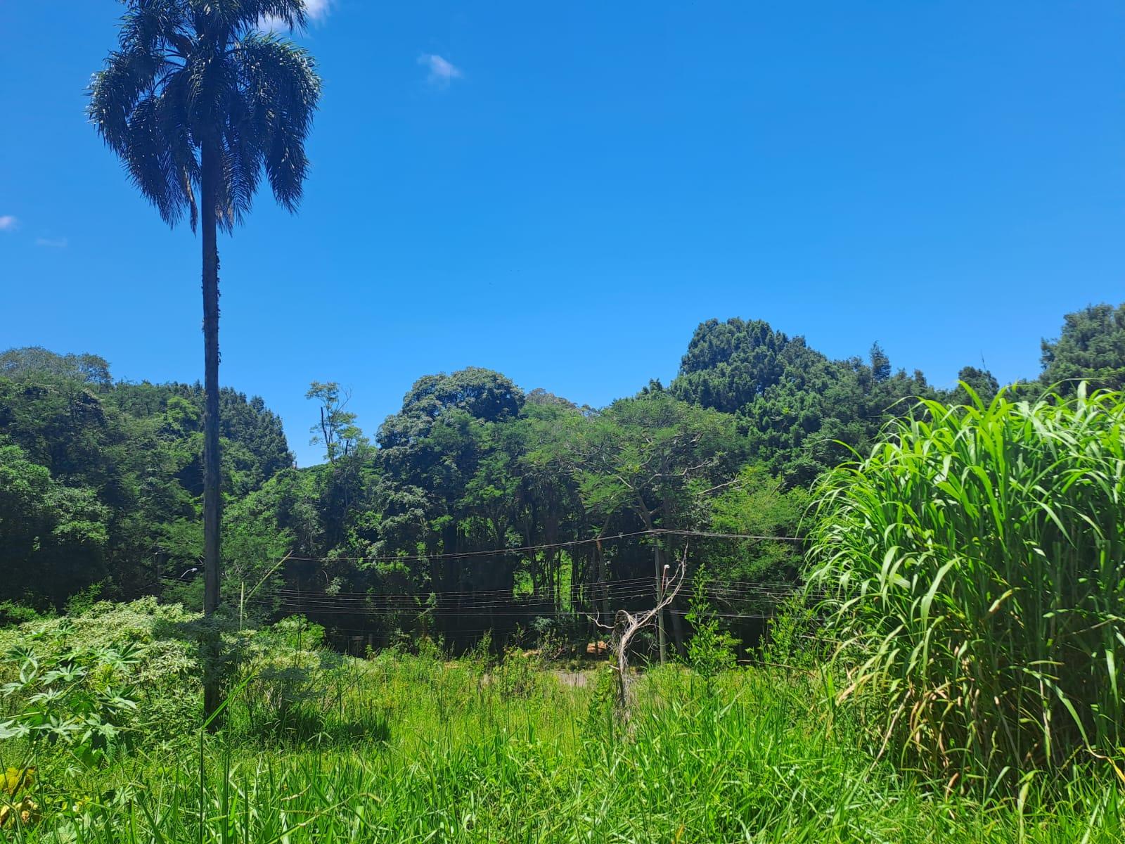 Casa, 3 quartos, 70 m² - Foto 24