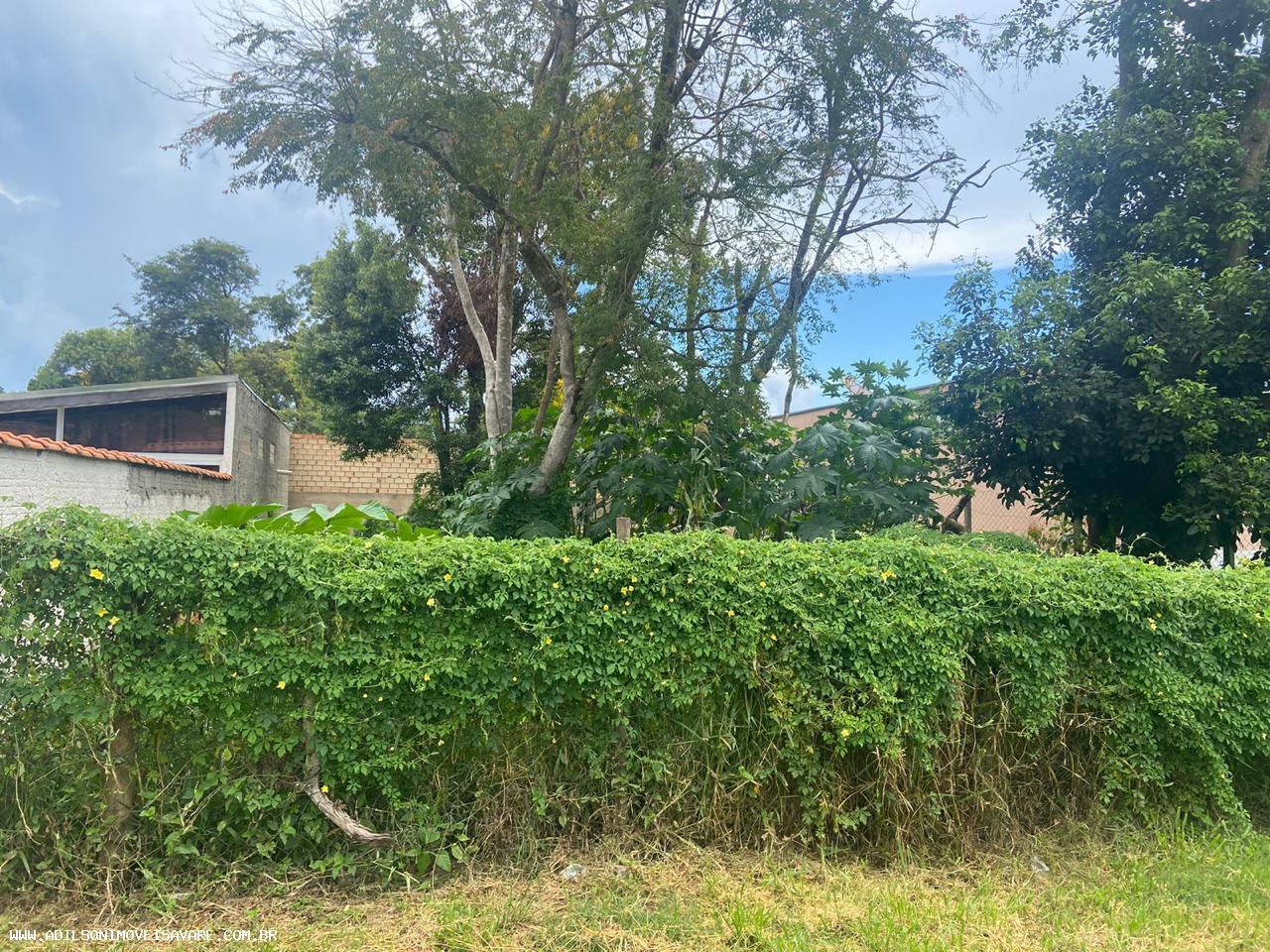 Terreno, 300 m² - Foto 3