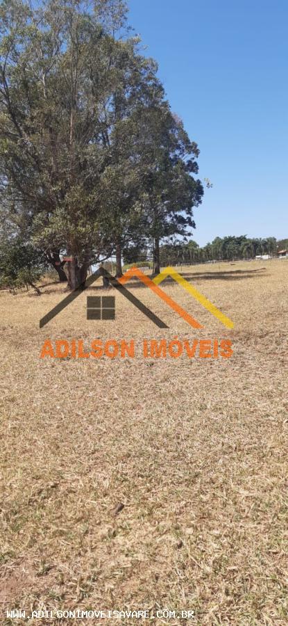 Terreno, 4 hectares - Foto 6