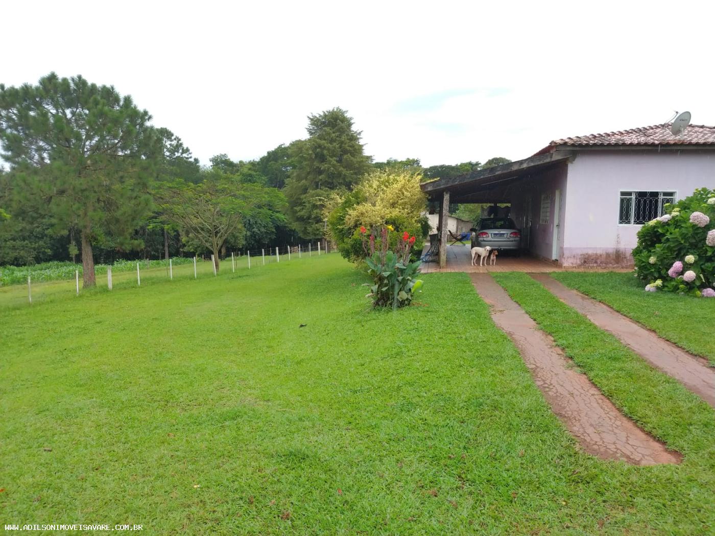 Chácara, 3 quartos, 2 hectares - Foto 2