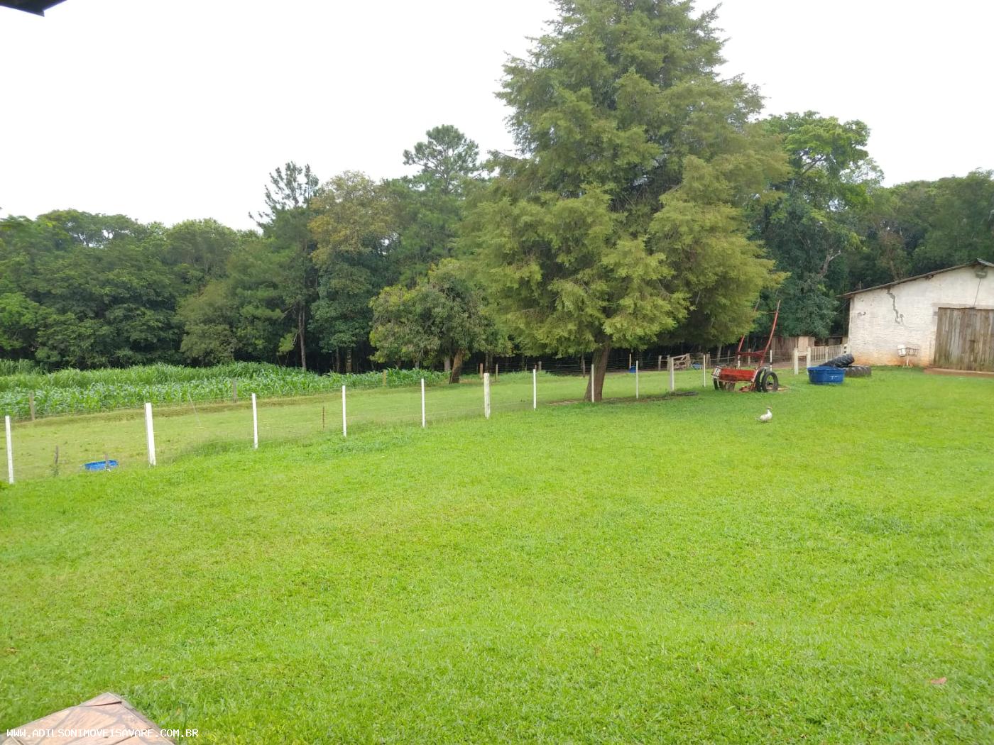 Chácara, 3 quartos, 2 hectares - Foto 3