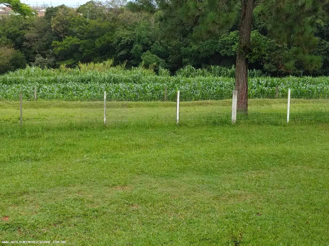 Chácara, 3 quartos, 2 hectares - Foto 4