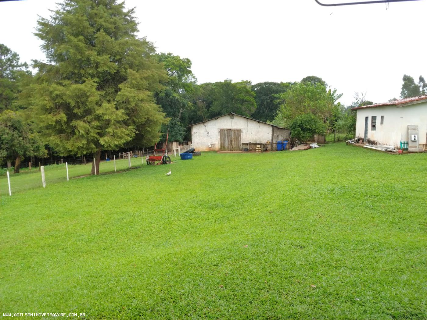 Chácara, 3 quartos, 2 hectares - Foto 5