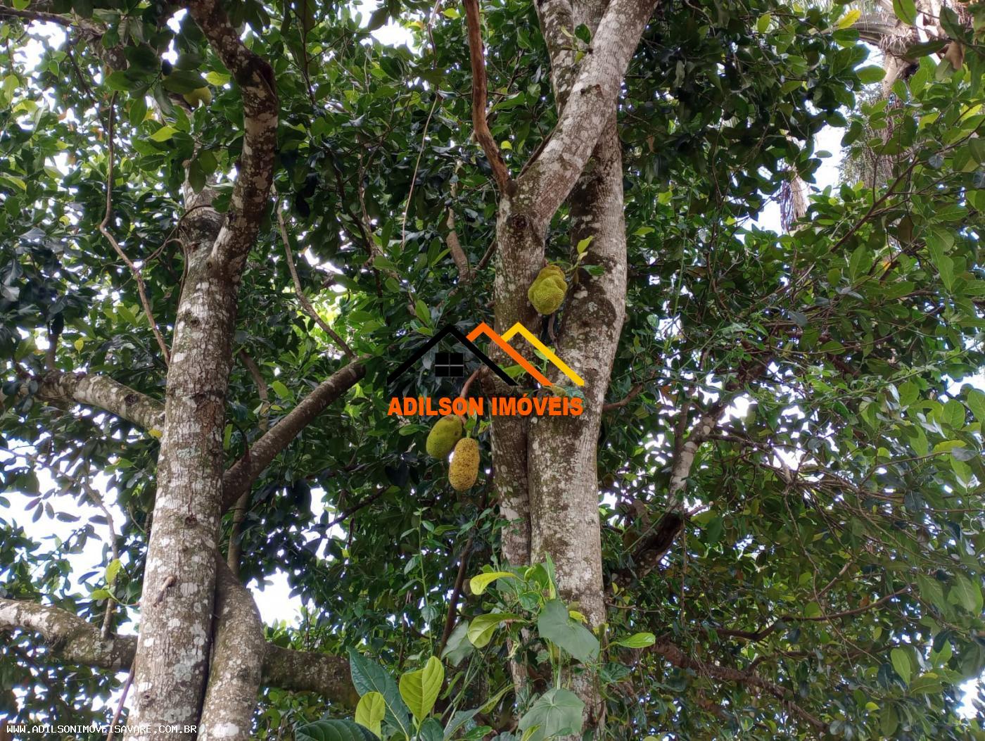 Chácara, 10000 m² - Foto 16