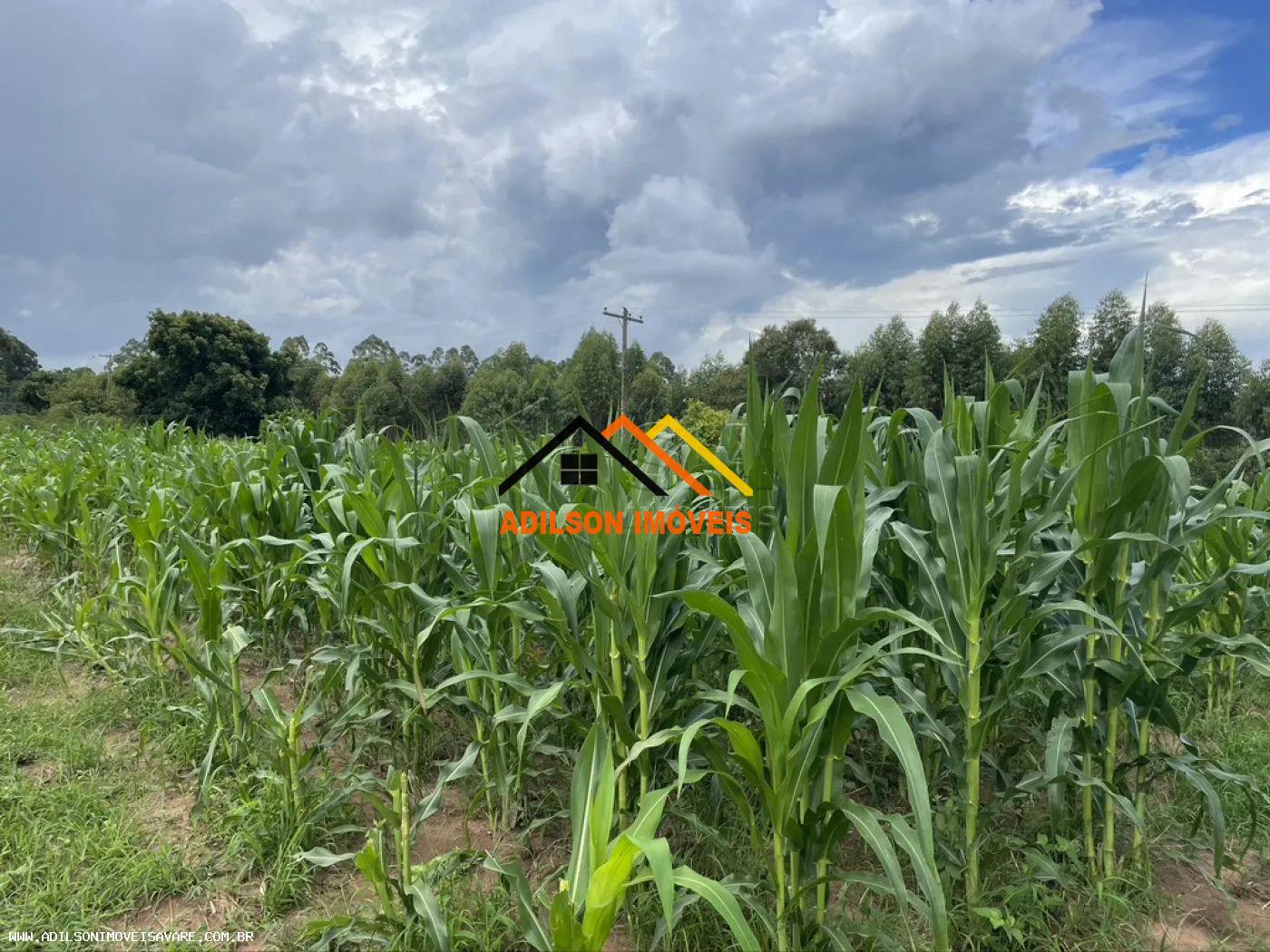 Sítio, 2 quartos, 6394 hectares - Foto 12