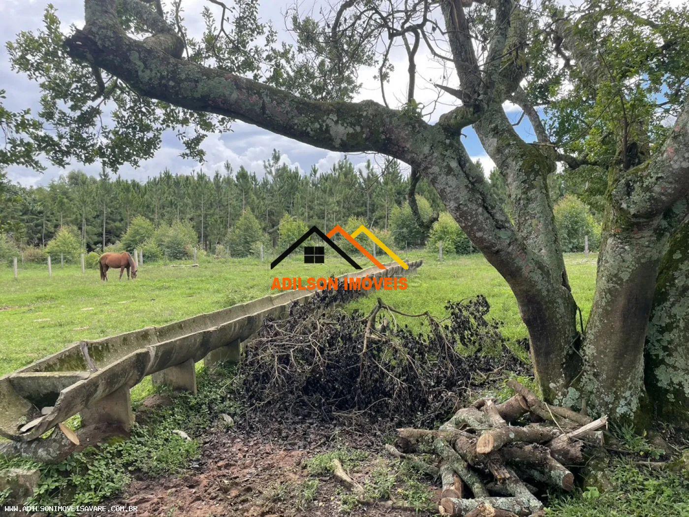 Sítio, 2 quartos, 6394 hectares - Foto 19