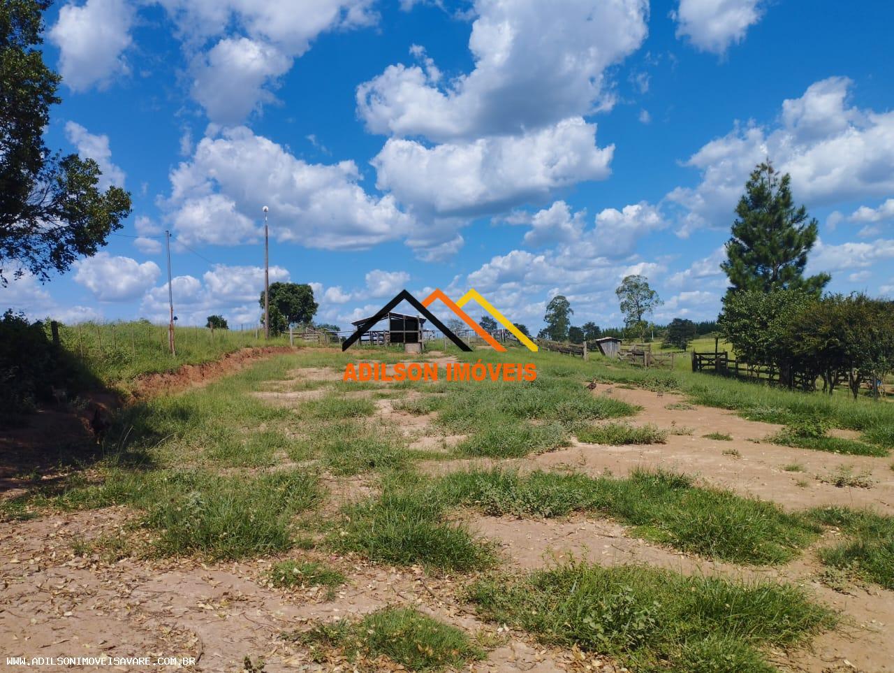 Chácara, 12 hectares - Foto 3