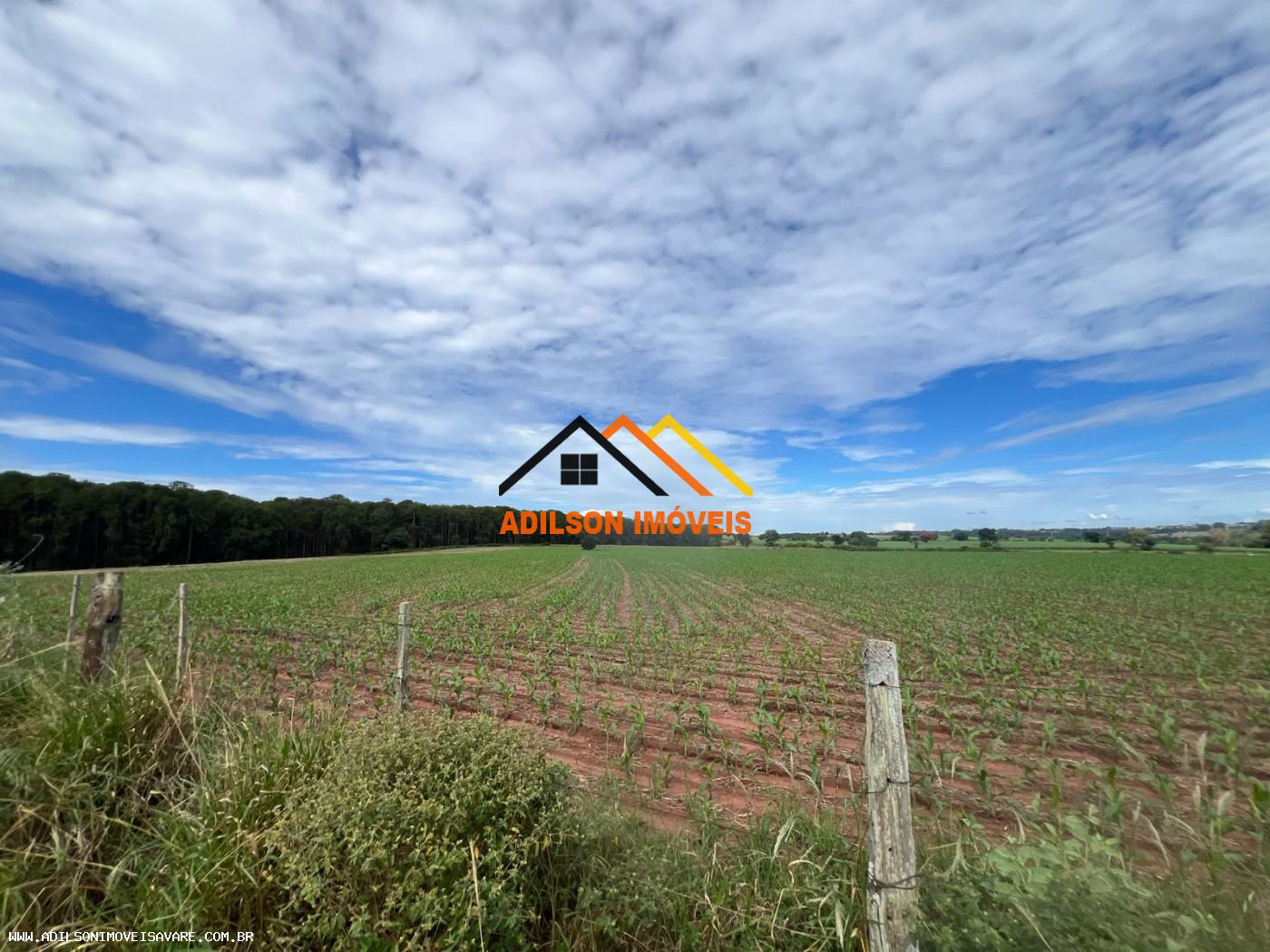 Sítio, 10 hectares - Foto 1