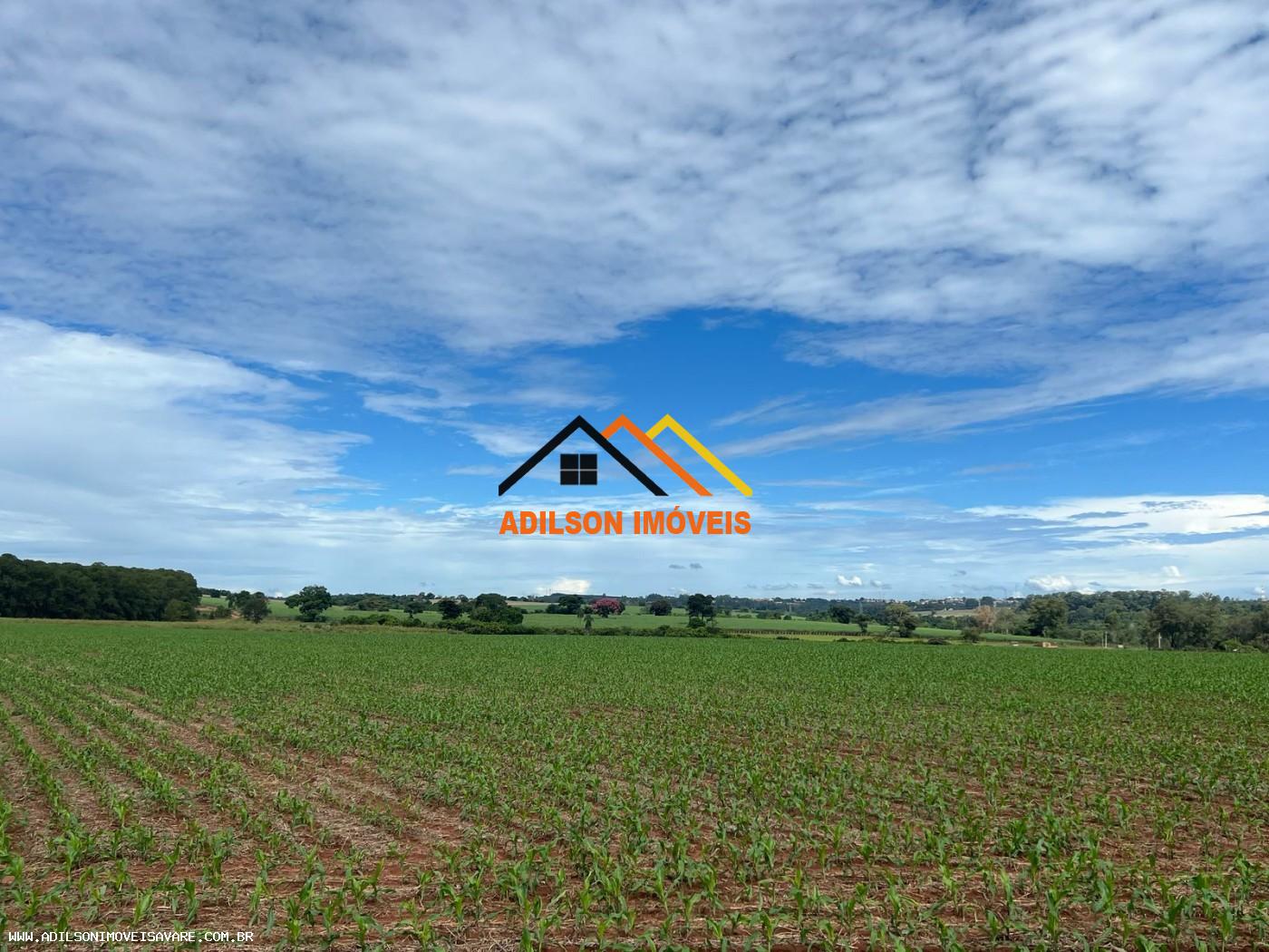 Sítio, 10 hectares - Foto 3