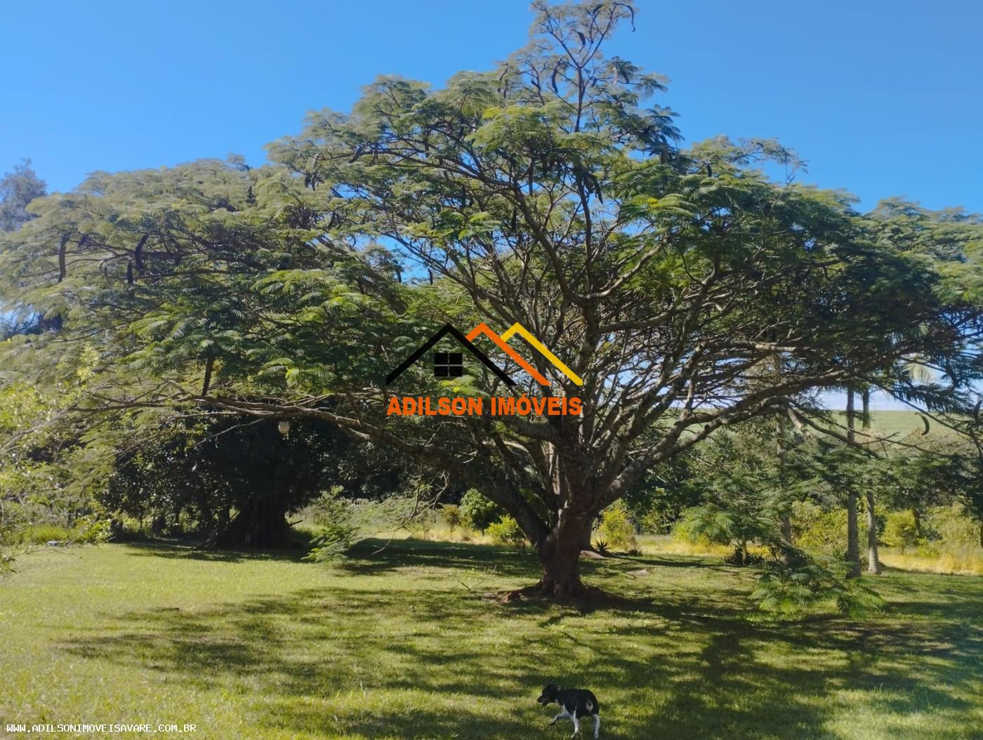 Chácara, 2 quartos, 2 hectares - Foto 7