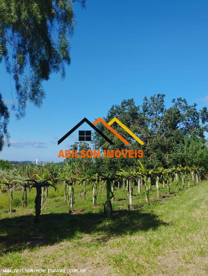 Chácara, 2 quartos, 2 hectares - Foto 4