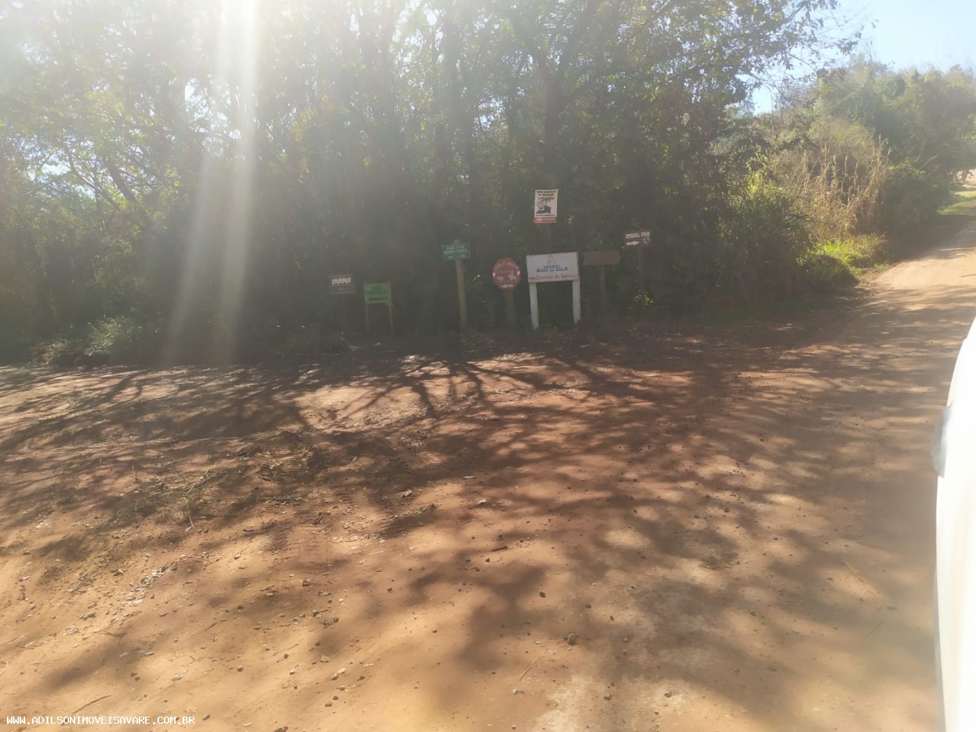 Chácara, 5 hectares - Foto 5