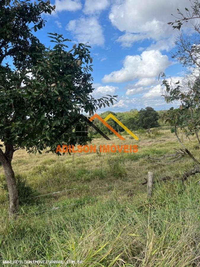 Chácara, 3 quartos, 2 hectares - Foto 2