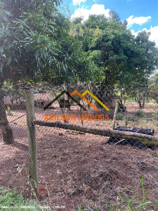 Chácara, 3 quartos, 2 hectares - Foto 4