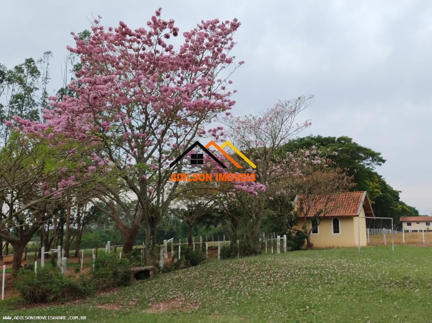 Fazenda, 92 hectares - Foto 4