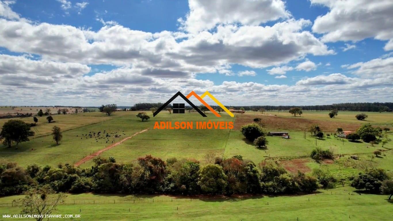 Fazenda, 92 hectares - Foto 10