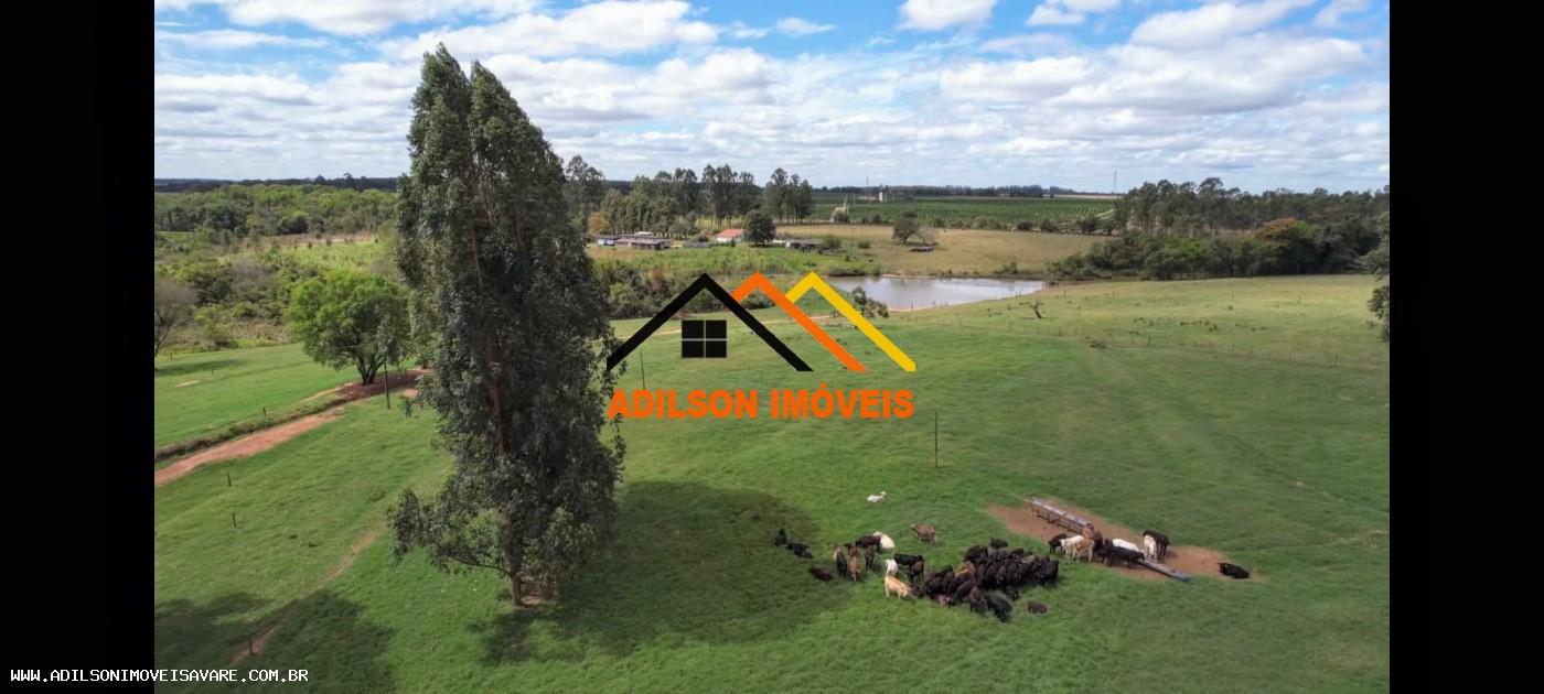 Fazenda, 92 hectares - Foto 9