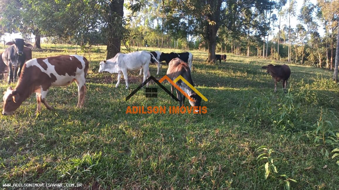 Chácara, 3 quartos, 2 hectares - Foto 7