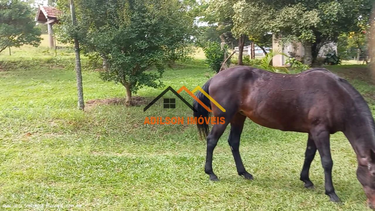 Chácara, 3 quartos, 2 hectares - Foto 5